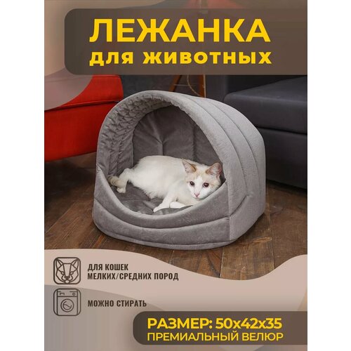 Домик Лежанка для Кошки, Кота, Лежак Кошек, Собак с Подушкой фото