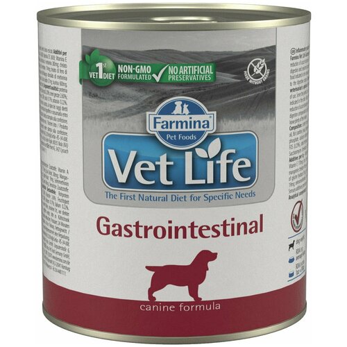 Влажный корм 6 шт по 300 г Vet Life Dog Gastrointestinal для собак фото