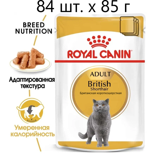 Влажный корм для кошек Royal Canin British Shorthair Adult, для взрослых кошек породы британская короткошерстная, 84 шт. х 85 г (кусочки в соусе) фото