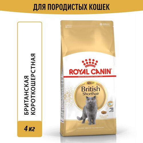 Сухой корм Royal Canin British Shorthair Adult (Британская Короткошерстная Эдалт) для взрослых кошек британской породы от 1 года до 12 лет, 4 кг фото