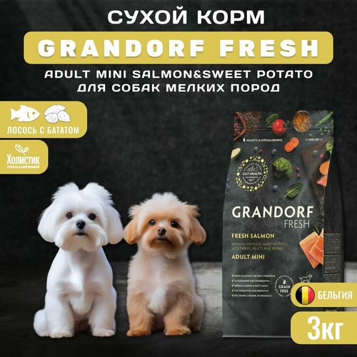 Сухой корм GRANDORF Fresh Dog Adult MINI Salmon&Sweet Potato для собак мелких пород из свежего филе лосося с бататом, 3 кг фото