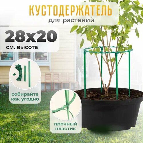 Опора для растений, цветов круглая / Поддержка для растений 1 кольцо 28х22см фото