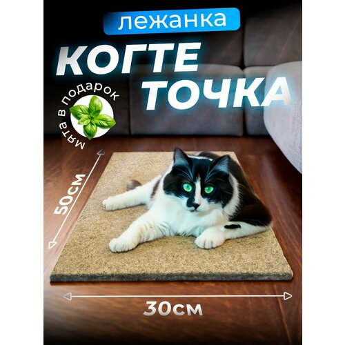 Когтеточка для кошки напольная лежанка с кошачьей мятой, 50х30 см/ бежевая фото