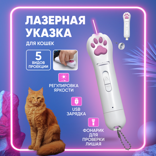 Лазерная указка для кошек / Игрушка для кошек / Лазер дразнилка с usb фото