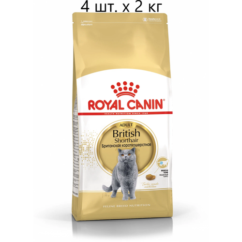 Сухой корм для кошек Royal Canin British Shorthair Adult, для взрослых кошек породы британская короткошерстная, 4 шт. х 2 кг фото