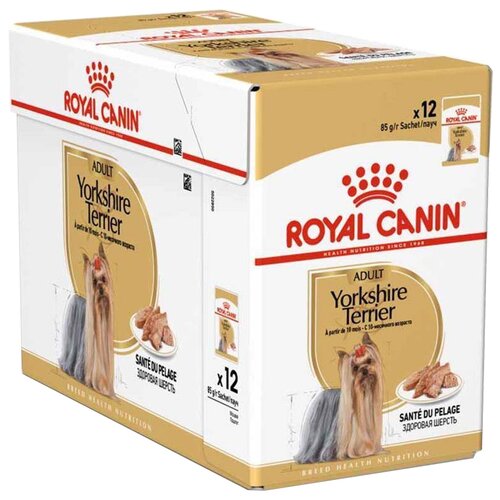 Влажный корм для собак Royal Canin породы Йоркширский терьер, для здоровья кожи и шерсти 1 уп. х 12 шт. х 85 г фото