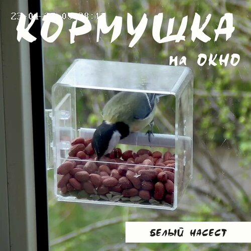 Кормушка для птиц на окно, съемная, TV - Белый насест, крепится на раму фото