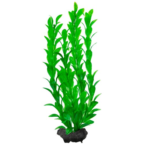 Искусственное растение  Tetra Hygrophila M 4 шт. 23 см зеленый фото