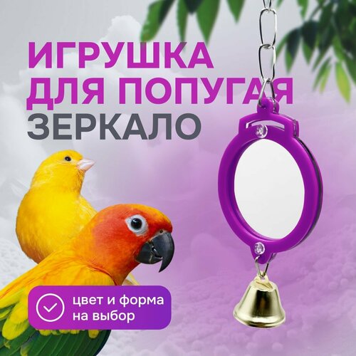 Игрушка для попугаев и птиц - зеркало фото