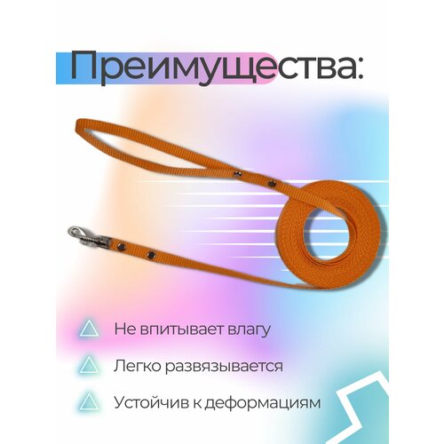 Поводок Хвостатыч для собак нейлоновый классический 5 м х 10 мм (оранжевый) фото