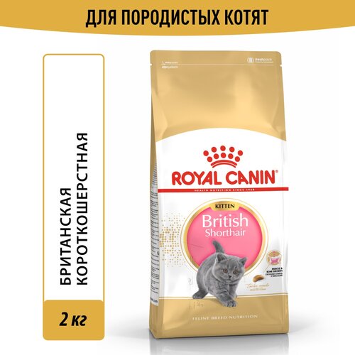 Корм Royal Canin British Shorthair Kitten (Британская Короткошерстная Киттен) сухой сбалансированный для британских короткошерстных котят, 2 кг фото