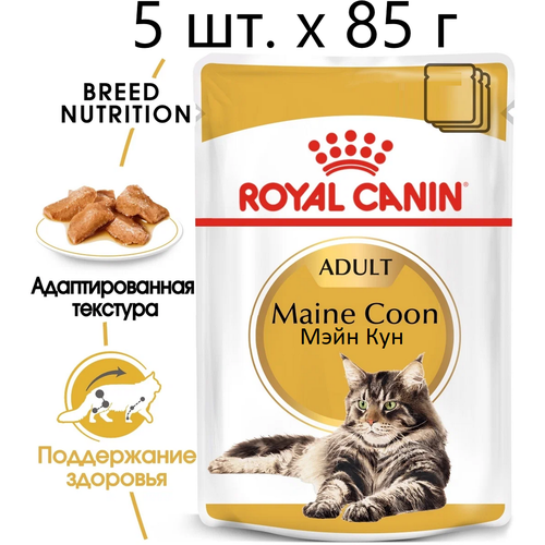 Влажный корм для кошек Royal Canin Maine Coon Adult, для взрослых кошек породы мейн-кун, 5 шт. х 85 г (кусочки в соусе) фото