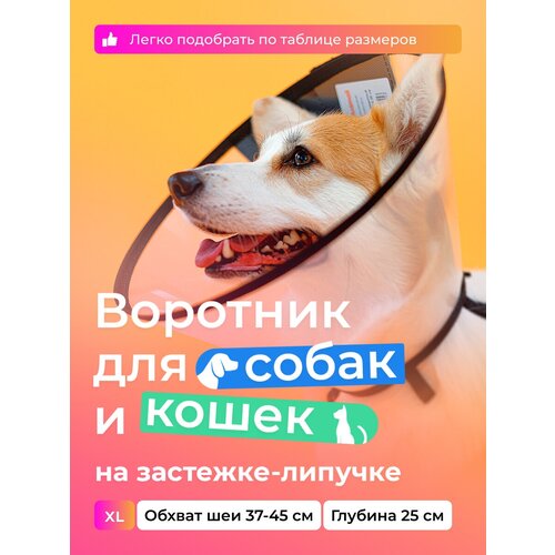 Воротник защитный ветеринарный для собак и кошек № 25 см, на липучке / AniMall фото