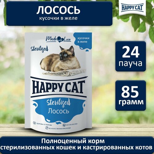 Корм влажный для стерилизованных кошек Хэппи Кэт (Happy Cat) Лосось кусочки в желе, пауч (24шт*85гр) фото