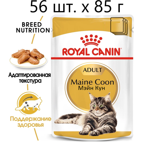 Влажный корм для кошек Royal Canin Maine Coon Adult, для взрослых кошек породы мейн-кун, 56 шт. х 85 г (кусочки в соусе) фото