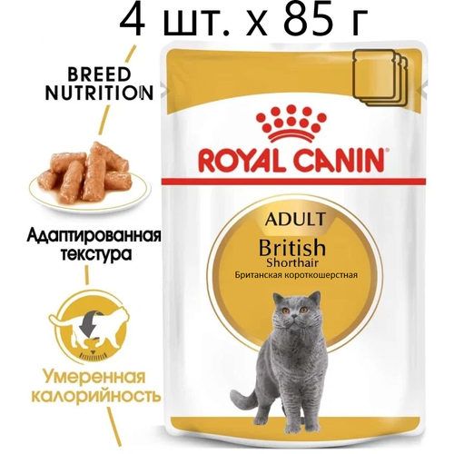 Влажный корм для кошек Royal Canin British Shorthair Adult, для взрослых кошек породы британская короткошерстная, 4 шт. х 85 г (кусочки в соусе) фото