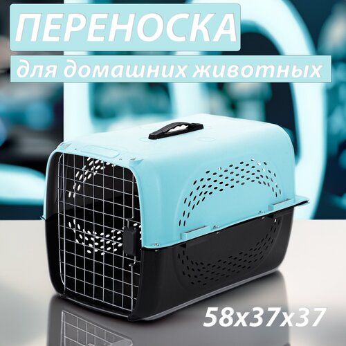 Клиппер-переноска для животных Чистый котик HP-A02 37х37х58 см 58 см 37 см 37 см голубой фото