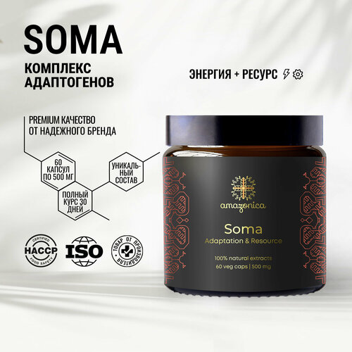 Soma Amazonica энергия и ресурс 60 капсул. Адаптогенный комплекс для увеличения уровня энергии и ресурсного состояния без кофеина. Ноотроп. Адаптоген. фото