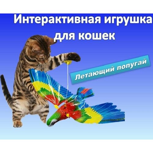 Интерактивная игрушка для кошек, подвесная птица фото