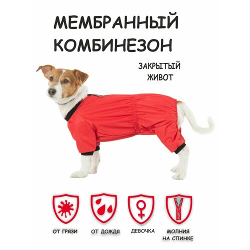 Комбинезон для собак Мартин Dogmoda красный девочка размер 5 фото