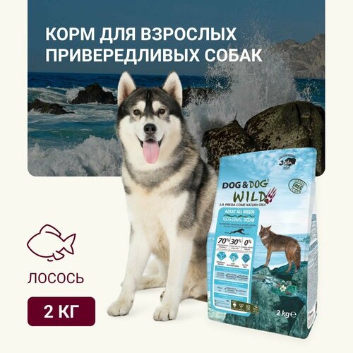 Корм для собак сухой Dog & Dog Wild Ocean, лосось 2кг (от года) фото