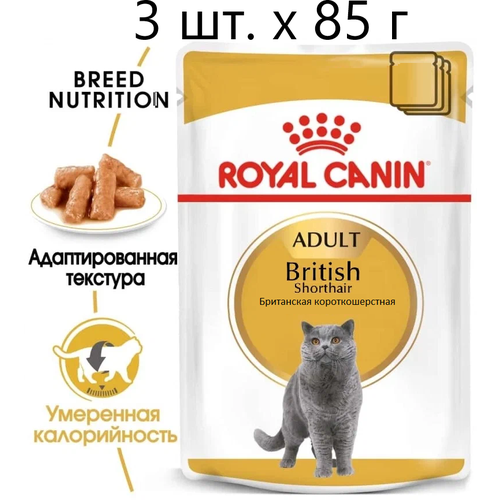 Влажный корм для кошек Royal Canin British Shorthair Adult, для взрослых кошек породы британская короткошерстная, 3 шт. х 85 г (кусочки в соусе) фото