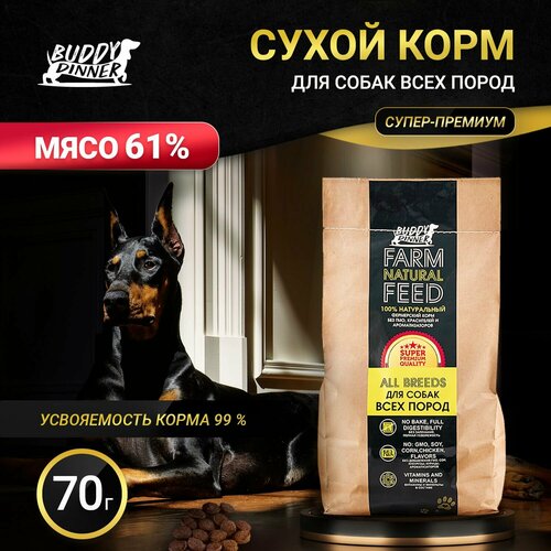 Сухой корм для собак средних и крупных пород Buddy Dinner Gold Line Hypoallergenic супер премиум с говядиной 61% мяса , 70г фото