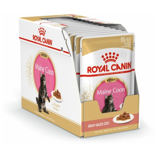 Влажный корм для котят Royal Canin Мейн-кун 12 шт. х 85 г (кусочки в соусе) фото