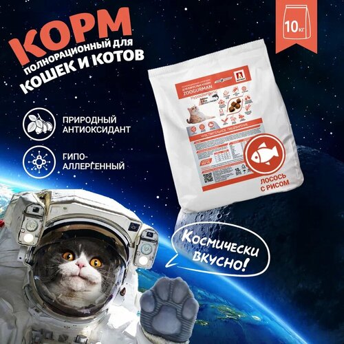 Полнорационный сухой корм для взрослых кошек Зоогурман Hypoallergenic, Лосось с рисом/Salmon & Rice 10 кг фото