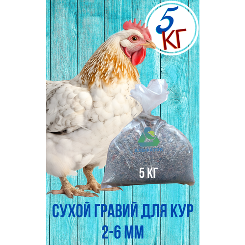 Сухой гравий 2-6 мм для кур, мешок 5 кг фото