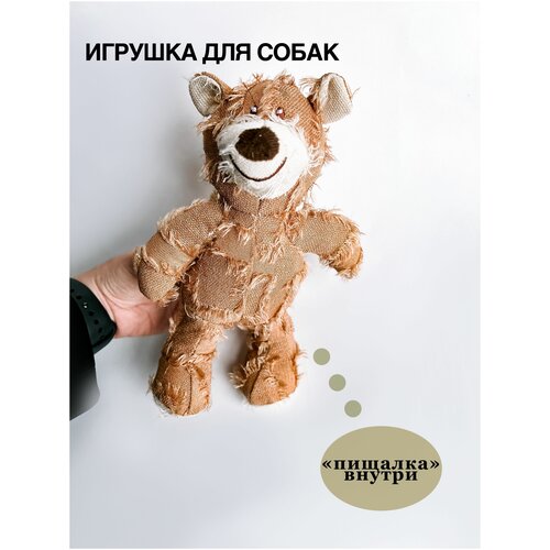 Игрушка медведь, для собак, пищащий, для игр с собакой фото