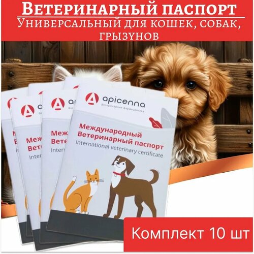 Комплект Ветеринарный паспорт универсальный для кошек, собак, грызунов, 10 штук фото