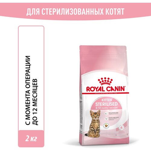 Корм для стерилизованных котят Royal Canin Kitten Sterilised (Киттен Стерилайзд) Корм сухой сбалансированный, 2 кг фото