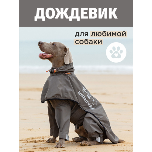 Дождевики для собак- полукомбинезон и накидка от бренда Brothers Cat&Dog фото