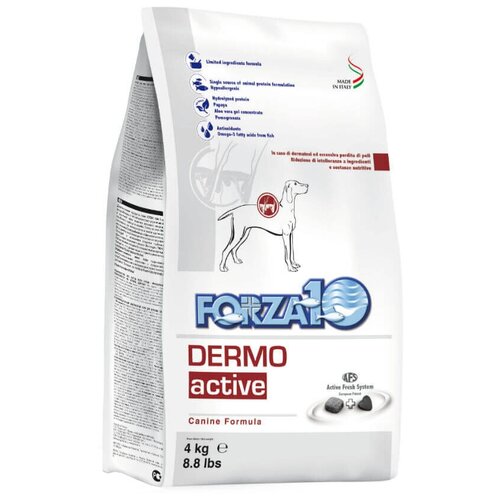 Сухой корм для собак Forza10 Active, при дерматологических заболеваниях 1 уп. х 1 шт. х 4000 г фото