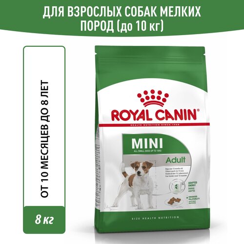 Сухой корм для собак Royal Canin Mini Adult для собак мелких пород, 8 кг фото