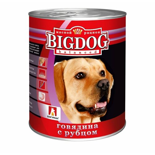 Влажный корм для собак Зоогурман Big Dog, говядина, рубец 1 уп. х 1 шт. х 850 г (для средних и крупных пород) фото