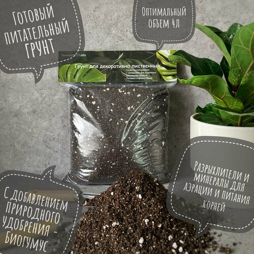 Готовый грунт с биогумусом для комнатных ароидных растений Terracotta Plants, 4 литра фото