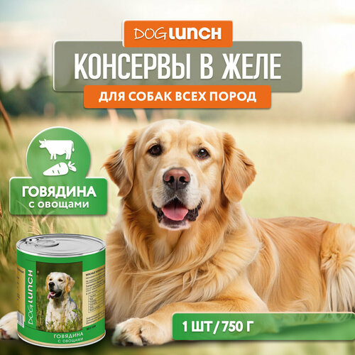 Влажный корм для собак Dog Lunch говядина, с овощами 1 уп. х 1 шт. х 750 г фото