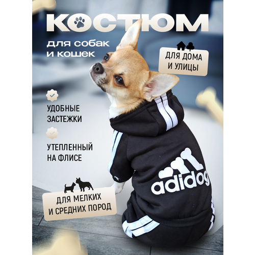 Комбинезон Adidog для собак и кошек, демисезонный, размер M, черный, унисекс, с капюшоном фото