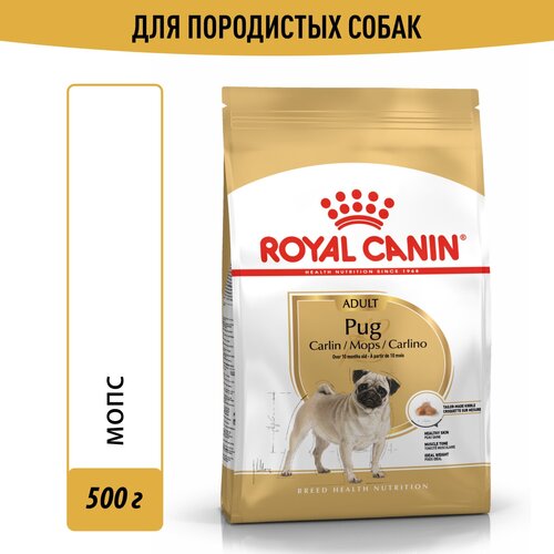 Сухой корм для собак Royal Canin породы Мопс 1 уп. х 1 шт. х 500 г (для мелких пород) фото