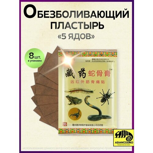 Китайский обезболивающий пластырь 5 ядов Змея, сороконожка, скорпион, жаба, тарантул, в упаковке 8 шт. фото