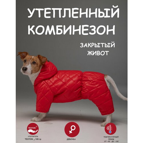 Комбинезон для собак DOGMODA стеганный девочка спина 32 см фото