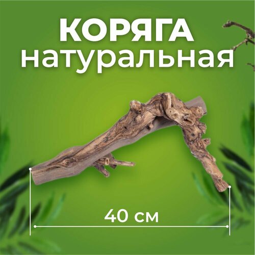 Коряга Виноградная лоза темная 40 см фото