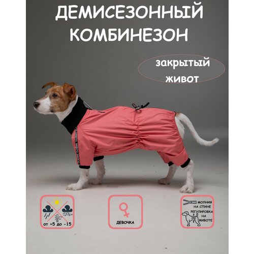 Комбинезон для собак DOGMODA Классик девочка коралл размер 3 фото