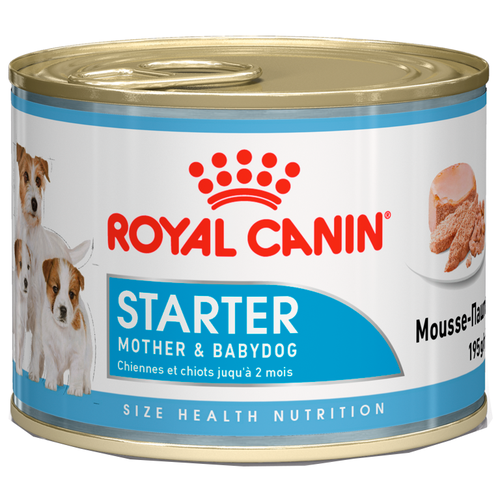 Влажный корм для кормящих собак и щенков Royal Canin Starter Mousse 1 уп. х 1 шт. х 195 г фото