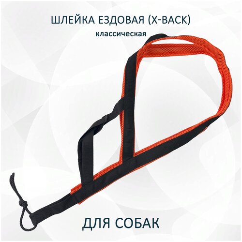 Шлейка ездовая totemica для собак X-Back, классическая 