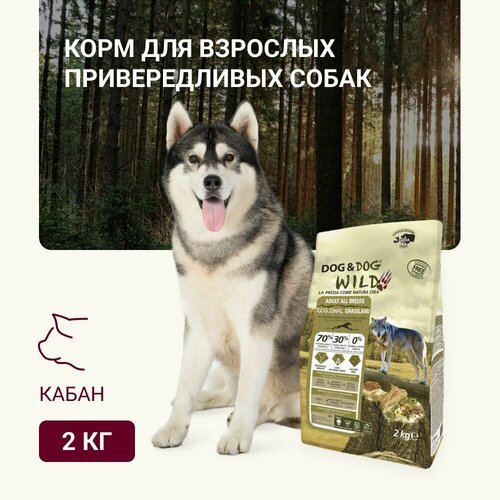 Корм для собак сухой Dog & Dog Wild Regional Grassland, кабан, ягненок 2кг (от года) фото