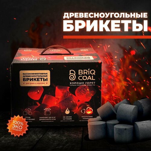 BriqBOX 4 кг - Высокоэффективные Древесноугольные Брикеты BRIQCOAL фото