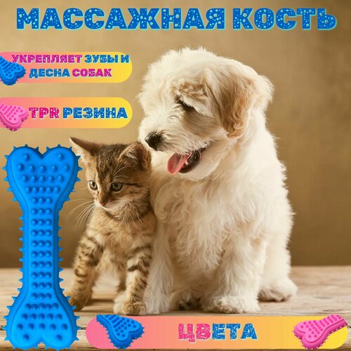 Игрушка для собак Кость голубая фото